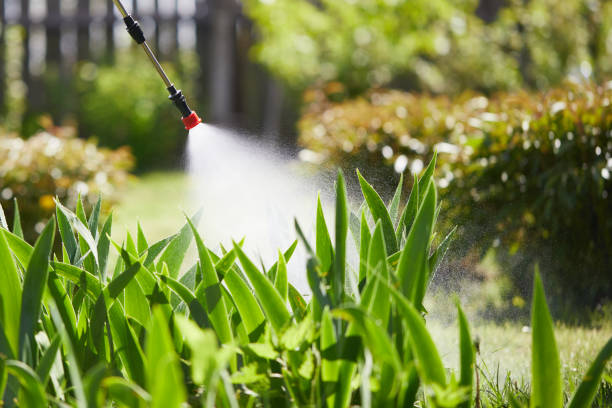 24/7 Emergency Wasp Removal experts in Barnwell, SC