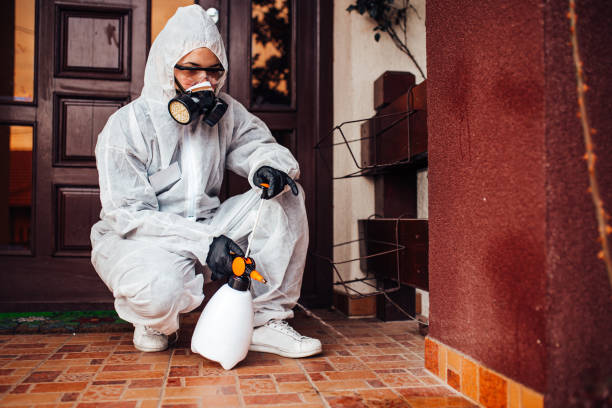 Reliable Wasp Removal contractor in Barnwell, SC by Show Me Pest Control